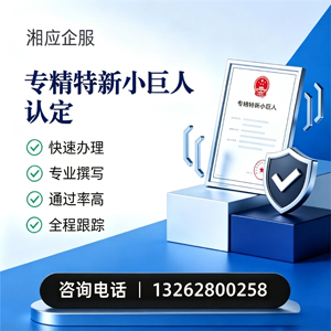 晋城专精特新小巨人申报服务