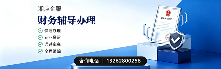 晋城财务辅导申请服务