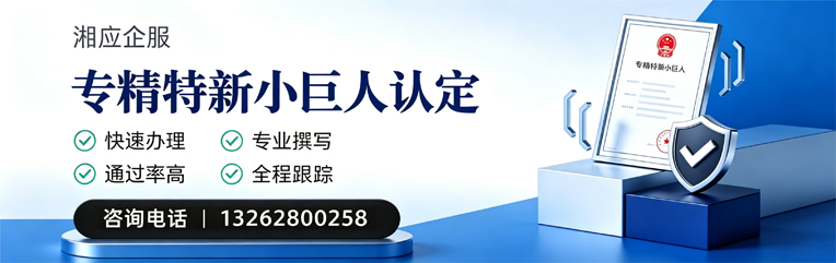 晋城专精特新小巨人申报服务